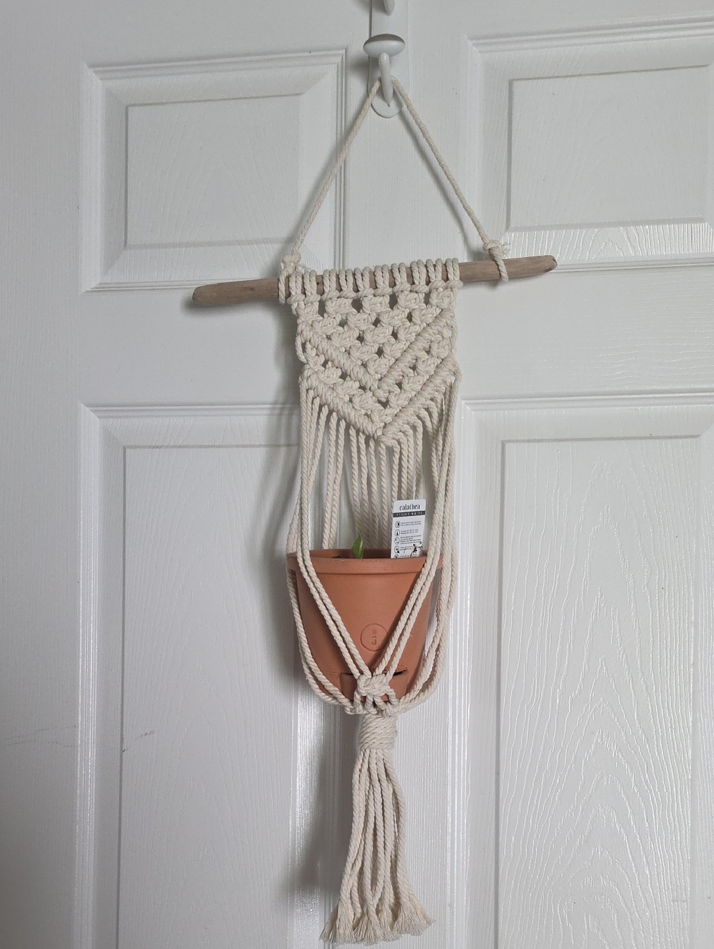 Handmade Cream Macramé Hanging Planter Wall Decor